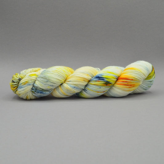 Aster Flowers - Fingering 400 - Wool Raider