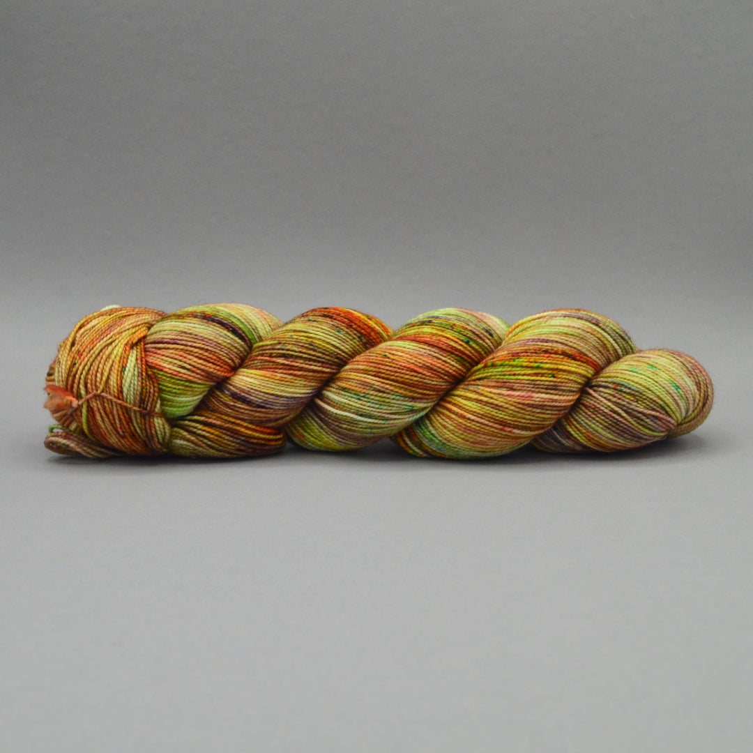 Mystic Swamps - Fingering 400HT - Wool Raider