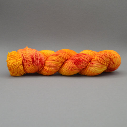 Orange Juice - Fingering 400HT - Wool Raider