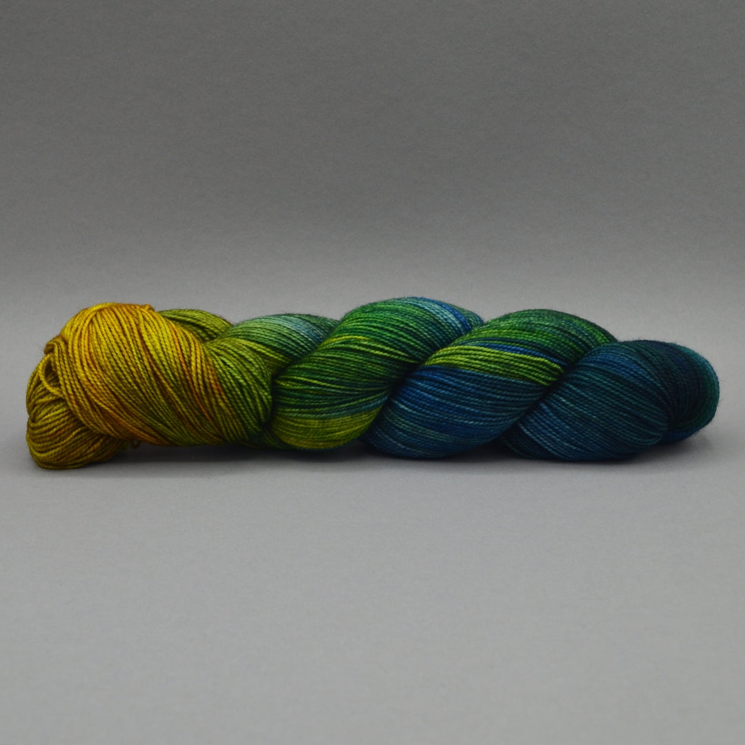 Poseidon's Beard - Fingering 400HT - Wool Raider