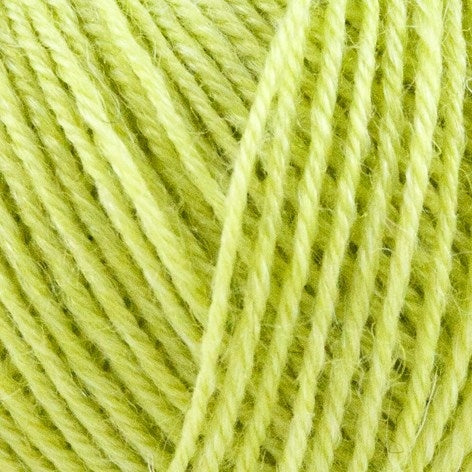 1014 - Nettle Sock Yarn - Onion