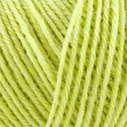 1014 - Nettle Sock Yarn - Onion