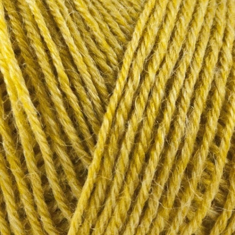 1016 - Nettle Sock Yarn - Onion