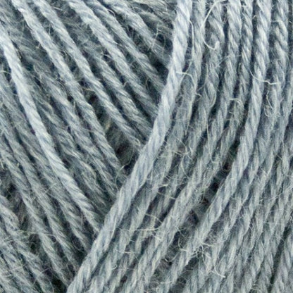 1017 - Nettle Sock Yarn - Onion